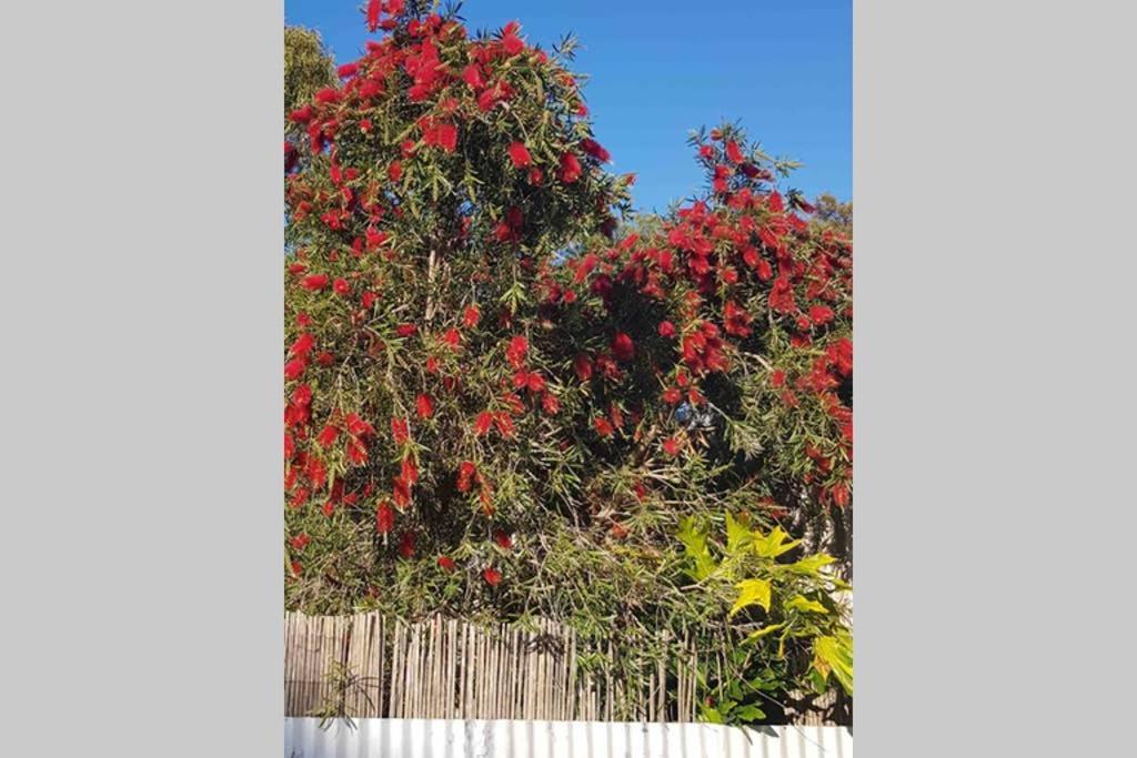 Leeward 'Tranquil Beachfront' Кингскот Экстерьер фото